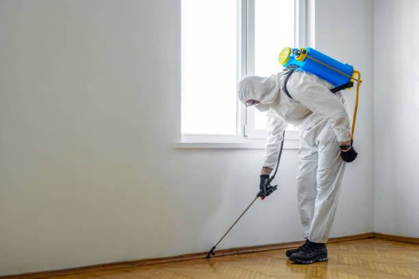 Pest Control Cost in Lansing, MI