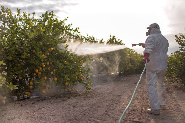 Best Pest Removal Services  in Lansing, MI