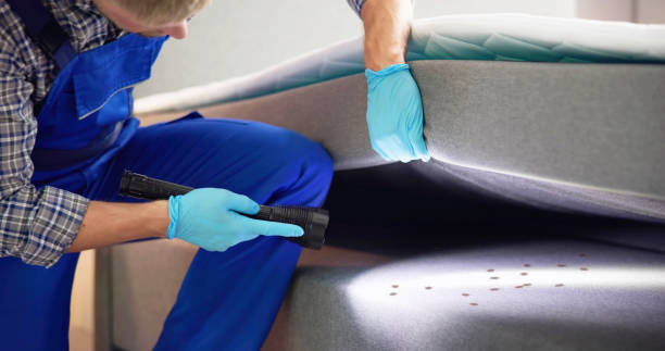 Best Residential Pest Control  in Lansing, MI