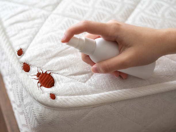 Best Pest Prevention Services  in Lansing, MI