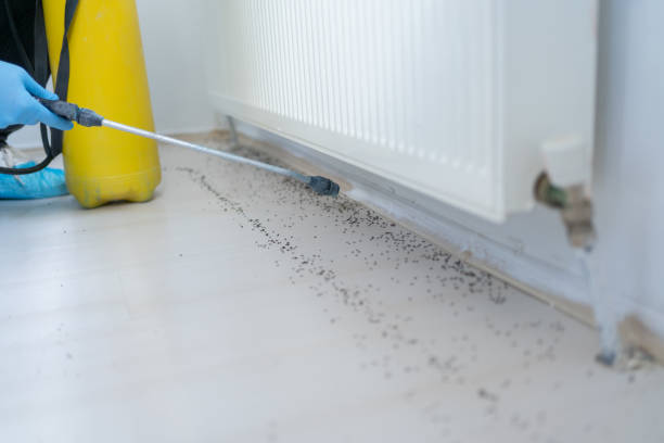 Best Rodent Control Near Me  in Lansing, MI