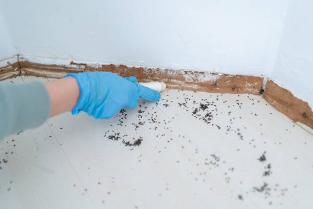 Best Insect Control  in Lansing, MI