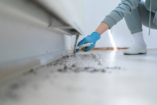 Reliable Lansing, MI Pest Control Solutions